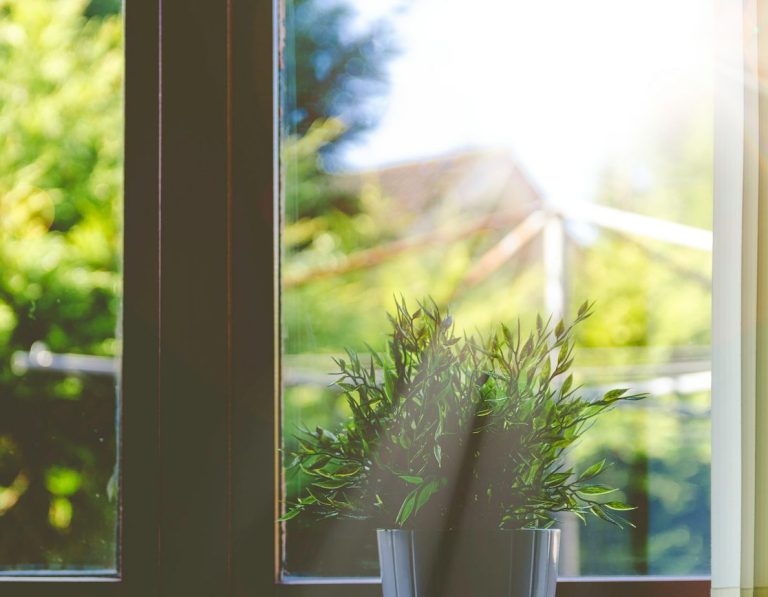 Fenster Transparente Politik