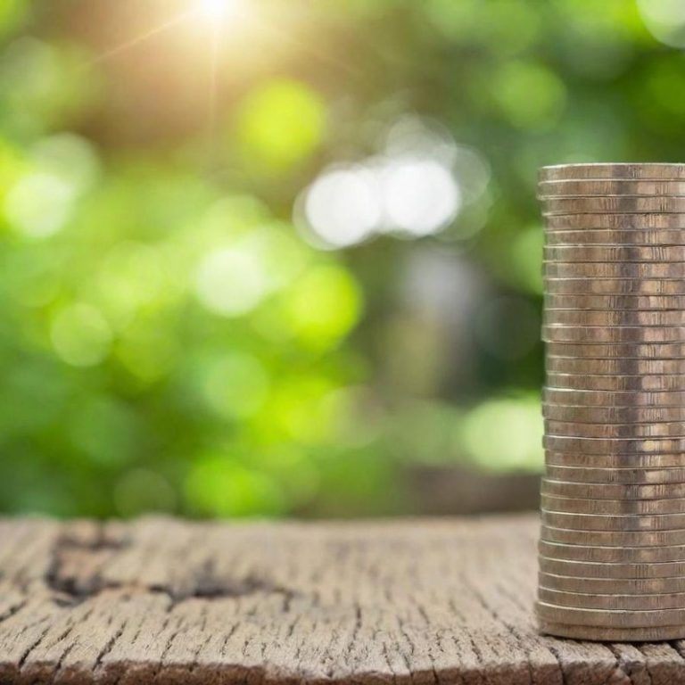 Wirtschaft und Zukunft sichern